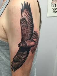 Bird Of Prey Tattoo Sleeve Buzzard Tattoo Hawk Tattoo Tattoos Stomach Tattoos