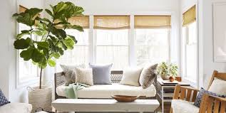 Browse through these bedroom plants until you find the perfect option for your space, no matter how small. 18 Best Indoor Trees Large Indoor Plants For Every Room In Your Home