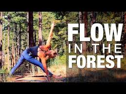 60 Min Flow In The Forest Yoga Class Five Parks Yoga Youtube Yoga Flow Video Bikram Yoga Yoga Youtube