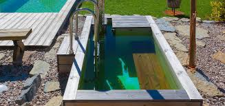 Schwimmteich Warmebecken Pool Schwimmteich Natur Pool