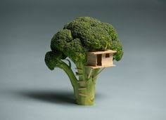 Cada rompecabezas contiene cuatro imágenes que tienen algo en común. 10 Brokoli Ideas Broccoli Broccoli Benefits How To Eat Broccoli