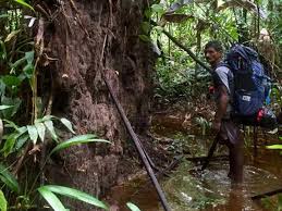 1 appearances 1.1 pete's dragon 1.2 pete's dragon (2016) 2 gallery pete is first seen at night running away from his foster, abusive, hillbilly family, the gogans, with the help of an invisible force he calls elliott carrying him farther away to safety. Pythom