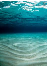 Fineartamerica Sandy Sea Floor Georgette Douwma Ondas Do Mar Imagens Relaxantes Sob O Mar