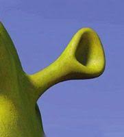 Shrek S Ear How To Draw Ears Shrek Ear