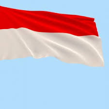 Viral Bendera Merah Putih Dibakar Di Lampung Pelaku Diduga Gangguan Jiwa Jatim Times