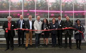 Hungria / hungria fc oficial home facebook; Plabennec 29 Eiffage Energie Systemes Inaugure De Belles Innovations Energetiques Dans Une Serre Maraichere