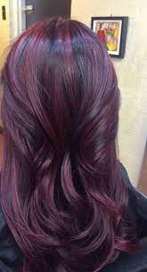 These super dark purple highlights done on black hair have a subtle tinted effect when indoors but burst to life when hit by sunlight. Pin On Hair