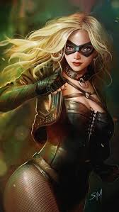 Superhero Birds Of Prey Logo Film Review Birds Of Prey Strange Harbors In 2020 Black Canary Comic Dc Comics Girls Black Canary