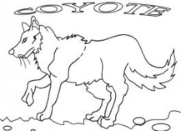 You can download free printable coyote coloring pages at coloringonly.com. Printable Coyote Coloring Pages For Kids