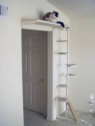 Http Www Thecatsite Com T 110778 To Buy Or Not To Buy A Cat Tree With Images Cool Cat Trees Cat Furniture Diy Cat Room