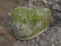 Lot 8 Giant Boulder | The Curse of Oak Island