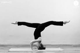 Tri Pada Sirsa Hanumanasana Tripod Split Headstand Yogea Yoga Outside Of The Box Headstand Yoga Advanced Yoga Split Yoga