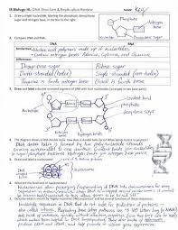 Phonetic charts and flash cards. Dna The Double Helix Coloring Worksheet Answers Dna Replication Biology Notes Transcription And Translation