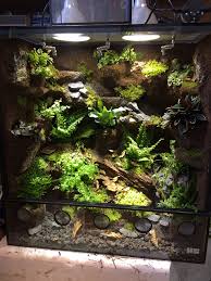 Pin On Terrariumok