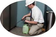 Located in the spring texas area, hart pest control services a wide range of counties and towns. The Woodlands Pest Control
