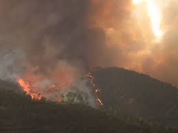 O algarve tem hoje mais 88 casos da doença (22.940) e não registou alterações no número de mortes, à semelhança do norte e do centro. Incendio No Algarve Obriga A Evacuar Casas E Lar De Idosos Combate Segue De Madrugada Economia Jornal De Negocios