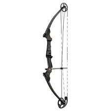 Details About New Mathews Genesis Carbon One Cam Youth Bow Rh Archery Model 12246