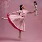 South Carolina Ballet - The Nutcracker event image