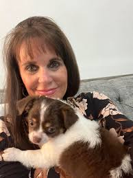 Looking for a puppy in Rockhampton?