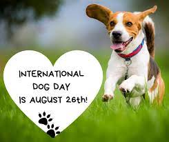 Monika zachara, it's international dog day, and what better way to show our four legged friends how much we love them than to. Happy International Dog Day 2019 Lucian Hodoboc