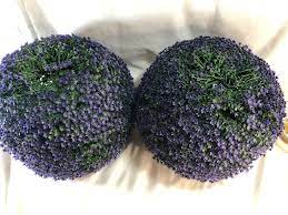 Wicker park faux flower indoor/outdoor garden spheres. Wicker Park Set Of 2 13 Faux Flower Indoor Outdoor Garden Spheres Wholesale Bidder
