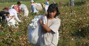 Pin On Child Labor Today