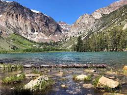 They are allowed in the store and the moment they walk in, an employee finds them and gives them a treat! Things To Do In Mammoth Summer Edition Hikes More