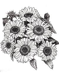 Black And White Line Art Sunflower Drawing Related Image Sunflower Drawing Flower Art Drawing Flower Line Drawings