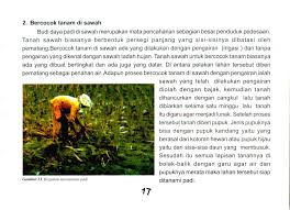 Pada saat musim kemarau lokasi/lahan dengan penyiran matahari penuh tanpa naungan. M Ngenal Tradfsf Bercocok Tan I I Donesia Pdf Free Download