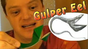 Gulper Eel 2.0