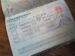 Once visa is ready its easily downloadable from track malaysia visa status. China Mog And Dog Travels