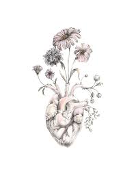 The vines will reach 5 to 15 feet, depending on the variety, so provide a tall trellis. A Beating Heart Is A Growing Flower Tatuagem Arte Tatuagem De Coracao Humano E Arte Coracao