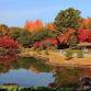 "Dream・Color・Discovery" Fujioka Autumn Leaves Festival event image