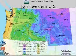 Hardy in usda zones 7a to 10b, the wild varieties are planted as wildlife. Usda Plant Hardiness Zone Maps By Region