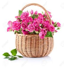 ʻO ka hale kūʻai pua ma Tunez