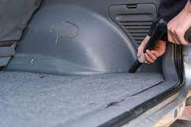 Help I Have Ants In My Car Ant Infestations Tips Any Pest Inc