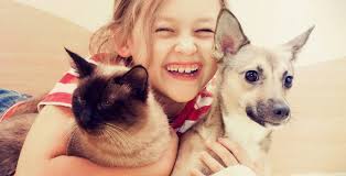 We did not find results for: The Humane Society Of Bay County Adopt A Pet Today Bay County Animal Shelter