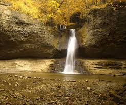 Taman ini adalah hasil tangan dingin bung marandus sirait sang penerima hadiah kalpataru bidang perintis lingkungan tahun 2005 dan. Taman Eden Wallpaper Download Ke Ponsel Anda Dari Phoneky