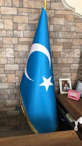 Asya bayrak öneriyor burayı asya bayrak olarak öneriyoruz Dogu Turkistan Bayragi 1 Sinif Saten Kumas Altin Direk