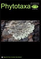 Image result for Crepidomanes inopinatum