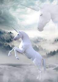 A bisexual person who desires multiple partners and is willing to join an existing married couple (known as a dyad, versus a triad when there are three people), the presumption being the. Unicorn Meaning Insights Which May Surprise You Unicorn Yard