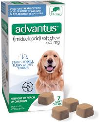 Amazon Com Advantus Imidacloprid 7 Count Large Dog Flea Chewable Treatment For Dogs 23 110 Pounds Pet Supplies