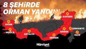 Yeniköy mahallesi'ndeki ormanlık alanda henüz belirlenemeyen nedenle yangın çıktı. Dwjh7hc8khuiqm