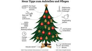 Tipp: Den Weihnachtsbaum Richtig Aufstellen | Gabot.de