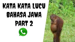 More images for kata kata lucu jawa » Kata Kata Bijak Lucu Jawa Timur