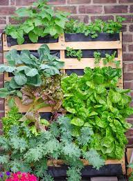 Insert a sheet of plastic between this and the layer above it. Upcycle Old Pallets To Make Beautiful Vertical Gardens Off Grid World