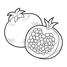 Buah delima merah, jus teh hijau delima makanan organik, buah delima bebas untuk menarik bahan, makanan alami, frutti di bosco png. Gambar Mewarnai Buah Delima Buku Mewarnai Warna Buah