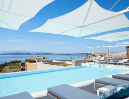 Image result for Nidorella umbrosa