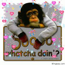 Monkey Love Good Morning Funny Pictures Hello Quotes Monkey Gif
