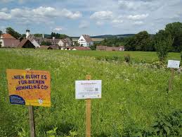 Der Garten Eden Bluht Auf Bluhflachen Fur Bienen Hummeln Schmetterlinge Co Garten Eden Untermarchtal